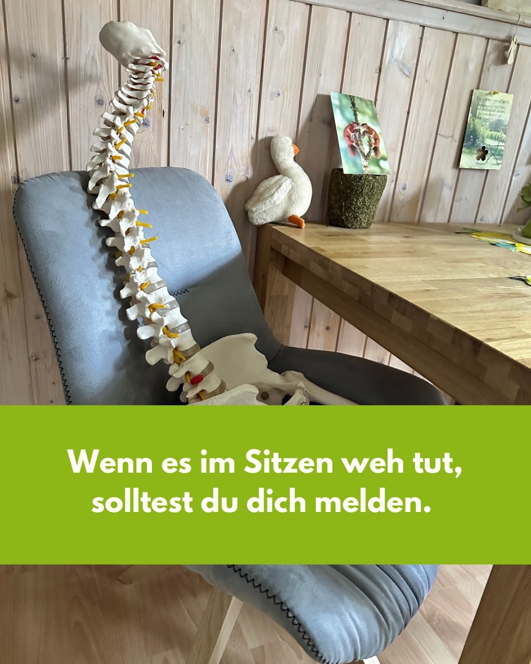 Rückenschmerzen in Weil der Stadt?