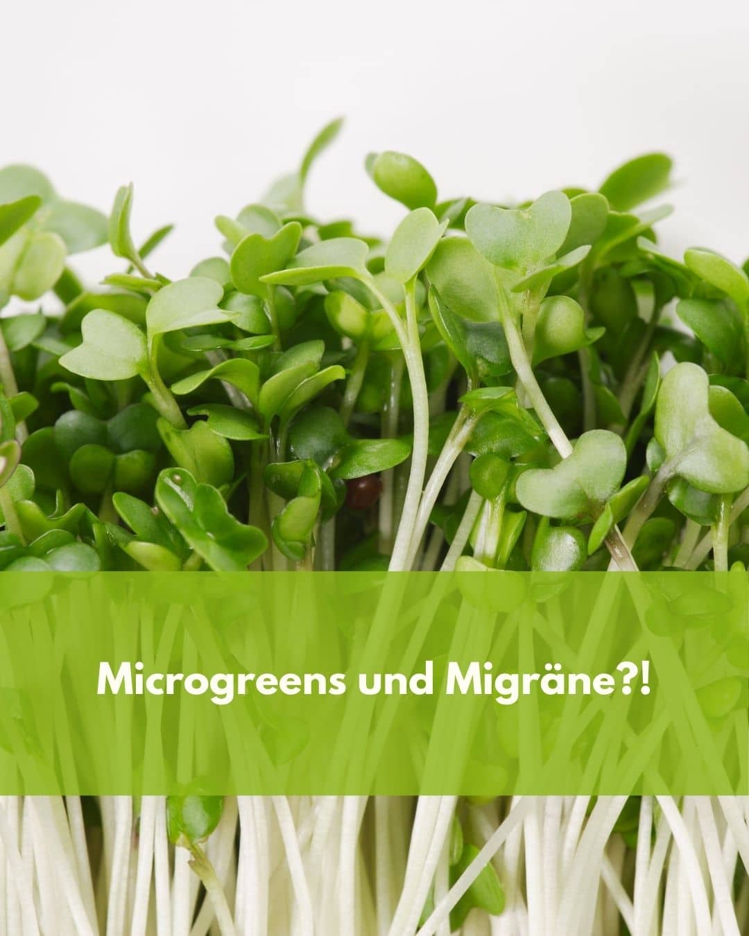Microgreens bei Migräne