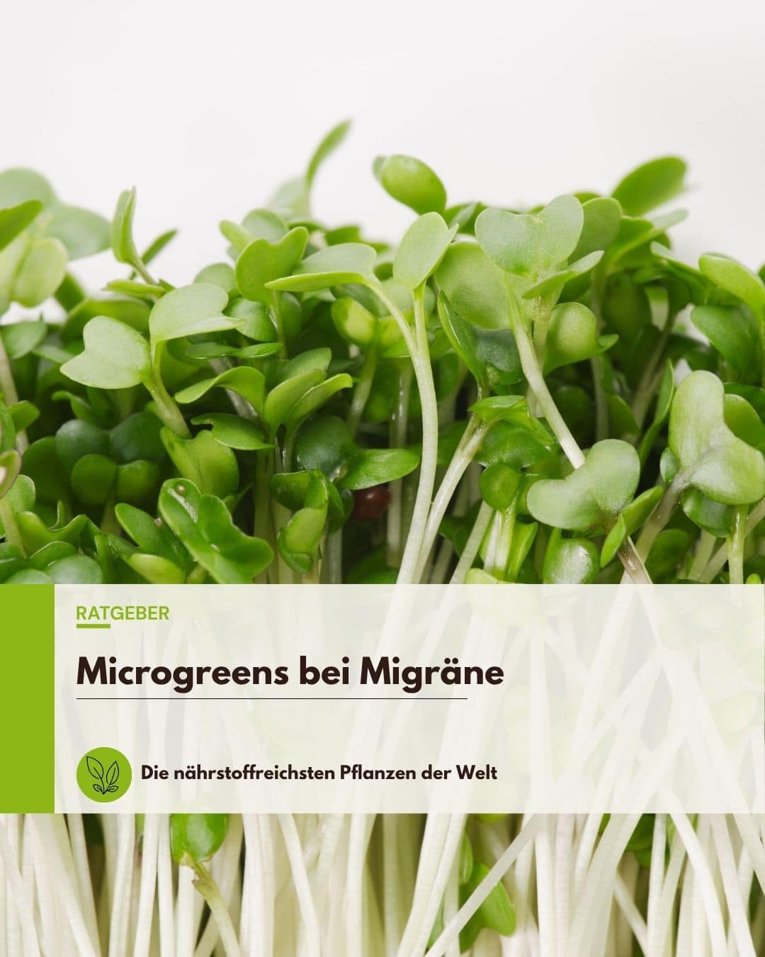 Microgreens