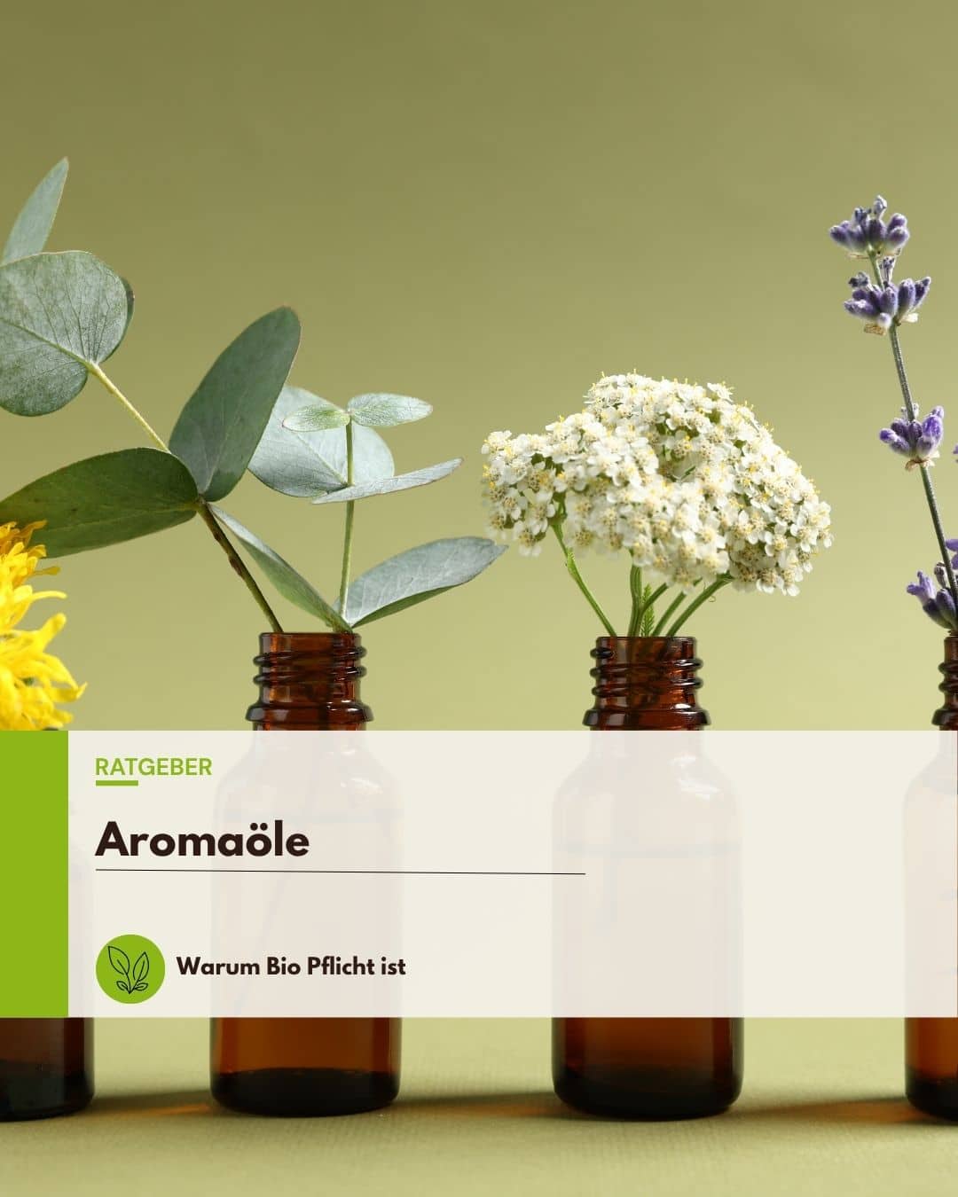 Aromaöle Bio?
