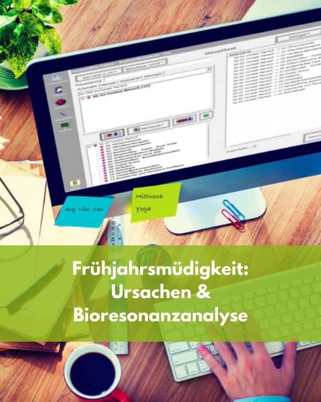 Frühjahrsmüdigkeit