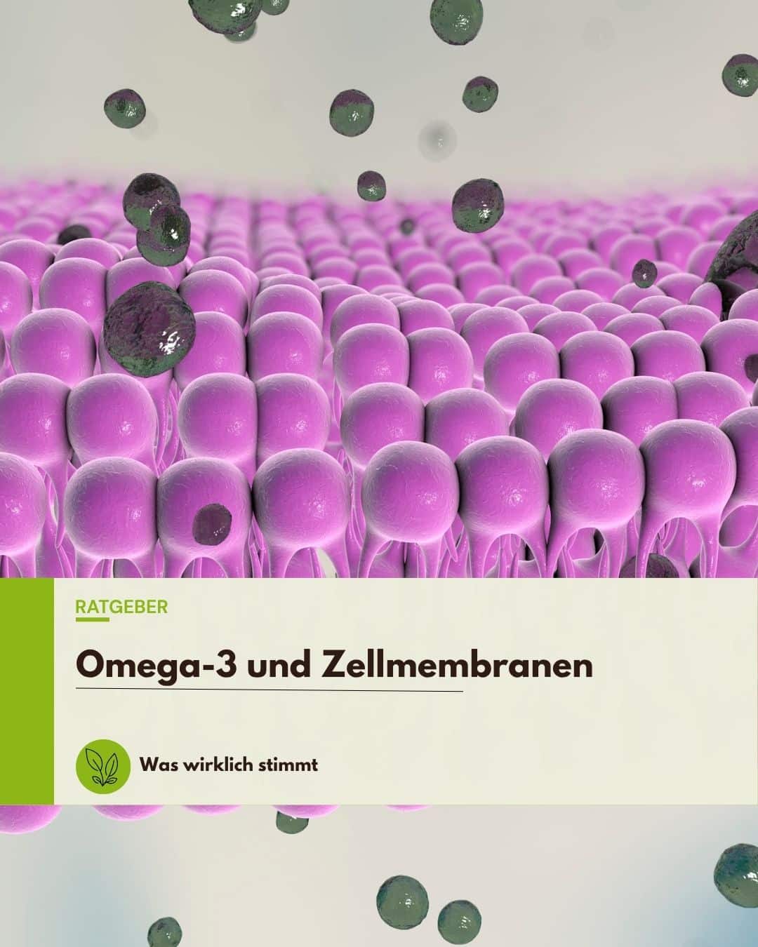 Omega 3