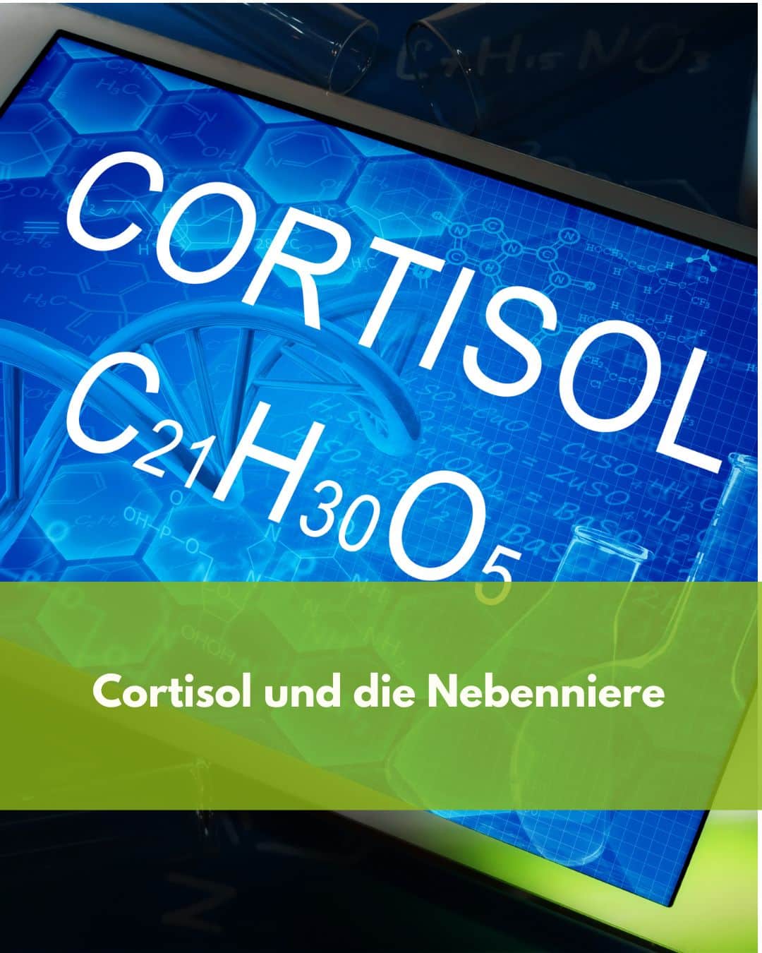 Cortisol und die Nebenniere: warum du ständig erschöpft bist
