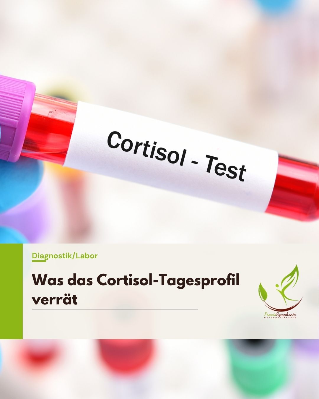 Cortisol